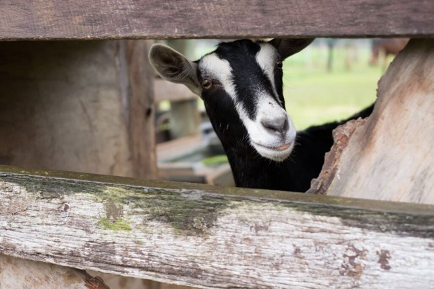 D4AjrlOp3I9B4h7d6Rxc9IT-By8m8l2dAZzdSGoSeag